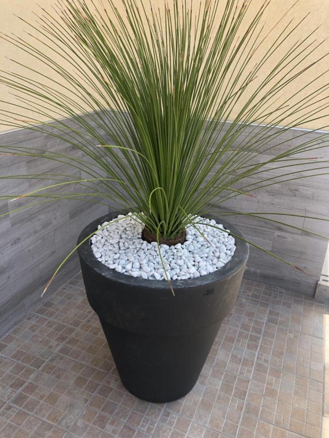 ליצאנו B&B A Casa Di Papi מראה חיצוני תמונה